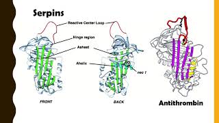 Antithrombin III [upl. by Lerred462]