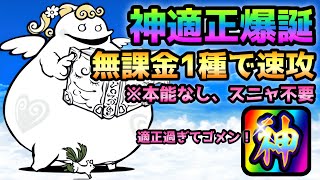 絶聖者ポプウ 遂に実現！脳筋連打で無課金１種で速攻 にゃんこ大戦争 聖おねえさん [upl. by Adnorrahs]