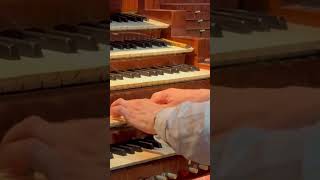 Church Pipe Organ  What a Beautiful play Ghent Belgium [upl. by Natala]