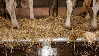 Ferme Bofran source traditionnelle de confort [upl. by Durwood]