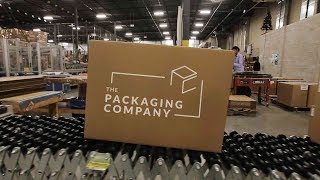 Who is The Packaging Company [upl. by Kal634]