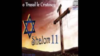 Ricardo Kwiek Shalom 11track 3 [upl. by Naam395]