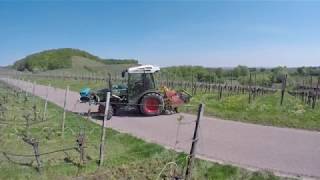 Begrünung säen im Weinberg mit Fendt Vario 210 [upl. by Lleznod]