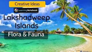 Flora and Fauna of Lakshadweep Islands project ideas [upl. by Ahsitil206]