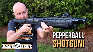 Testing This LessLethal Home Defense Shotgun  Umarex T4E HDX Review [upl. by Cesare]