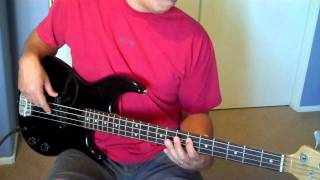 quotYoure Still The Onequot Shania Twain Bass Cover [upl. by Anoid202]