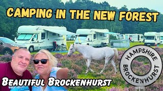 Motorhome Adventures in the New Forest A Relaxing Visit to Brockenhurst  Part 2 [upl. by Nicolea]