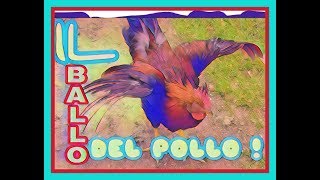 LA CANZONE DEL POLLO  REMIX [upl. by Ecirtaemed951]