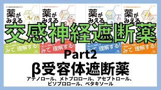 【交感神経遮断薬】β受容体遮断薬 プロプラノロール、ピンドロール、アテノロール、メトプロロール、アセブトロール、ビソプロロール、ベタキソール 薬剤師国家試験 [upl. by Macswan]