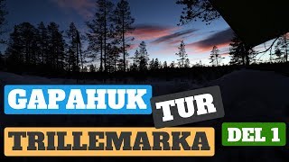 Friluftsliv  Trillemarka på vinterføre med gapahuk 2018  Del 1 [upl. by Perl]