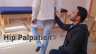 Hip Joint Palpation Bones and Soft Tissue [upl. by Oidale]