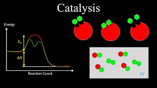 Catalysts Enzyme Catalysis AcidBase Catalysis Surface  Chemistry [upl. by Ruhnke]