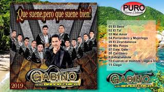 Gabino y Su Banda Chica 2019  Que Suene Pero Que Suene Bien Álbum [upl. by Esinyt]