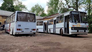 ikarus 280 [upl. by Eeram]