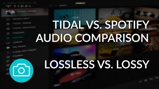 Tidal vs Spotify  Audio File Comparison [upl. by Petuu925]