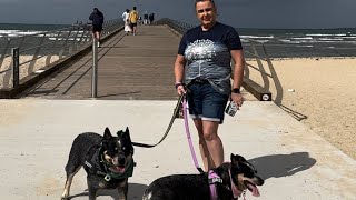 Altona beach newly constructed pier walk [upl. by Anivlem]