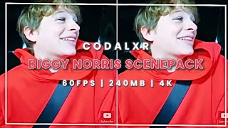 BIGGY NORRIS❤️ Norris Nuts  SCENEPACK 4k 60fps [upl. by Hegarty]