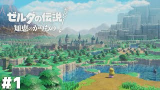 使うのは『カリモノ』の力【ゼルダの伝説 知恵のかりもの】＃１ [upl. by Tenner717]