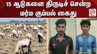 15 ஆடுகளை திருடிச் சென்ற மர்ம கும்பல் கைது  Cuddalore  Goat  Stealing [upl. by Ecyoj]