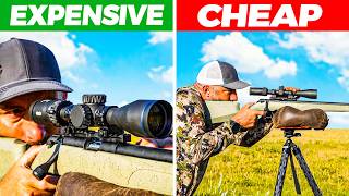 Cheap vs Expensive Rifle Scopes [upl. by Vish867]