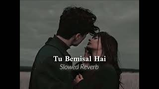 Tu Bemisal Hai Slowed Reverb [upl. by Attevaj]