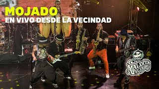 Maldita Vecindad  Mojado  En Concierto 2021 Video Oficial [upl. by Yrahcaz]