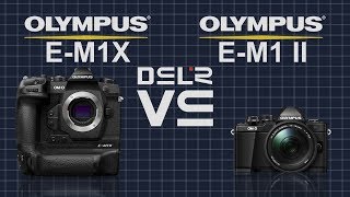 Olympus OMD EM1X vs Olympus OMD EM1 Mark II [upl. by Yart]