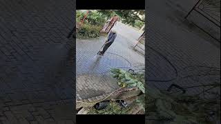 Cleaning pathway driveway satisfying video cleaning satysfingvideo timelapse funny [upl. by Yager]