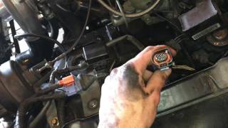 DIY Innovate MTXL Wideband Install [upl. by Eriam]