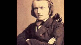 Johannes Brahms  Hungarian Dance No 5 [upl. by Scibert936]