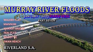 Murray River Floods 2023  Part Seven  Walker Flat to Murray Bridge to Blanchetown [upl. by Eiralam]