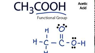 CH3COOH Lewis Structure Acetic acid [upl. by Agnew]