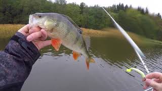 Pike and Perch fishing in Sweden [upl. by Ruthi851]