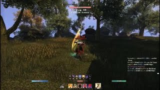 ESO PVP Its Impossible To Gank In Update 44 👀💀 [upl. by Nerahs]