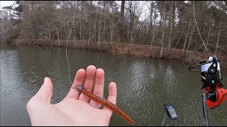 These Wintertime Bass Were STACKED South Georgia [upl. by Stevens676]