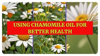 Why Should You Consider Using Chamomile Oil for Health [upl. by Gabler]