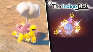 NEW INDIGO DISK DLC IS NOW LIVE Shiny Hunting Sobble  Shiny Torkoal Outbreak [upl. by Nauqaj432]