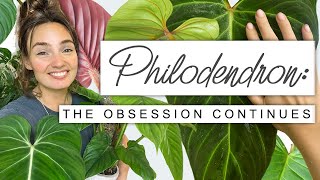 Sorry If You Buy More Plants After This 😬 PHILODENDRON Collection Tour Growth Updates  FUN FACTS 🌱 [upl. by Zerep]