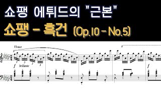 NWC 쇼팽  흑건 에튀드 Op10  No5 [upl. by Quartis]