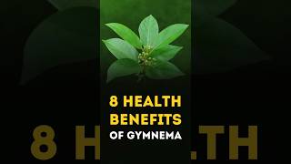 8 Health Benefits of Gymnema Sylvestre health benefits diabetes [upl. by Adil]