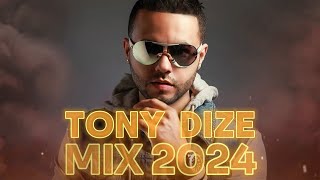 TONY DIZE MIX 2024  REGGAETON VIEJO MIX  REGGAETON CLASICO MIX 2024 [upl. by Aidne]