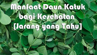 Manfaat Daun katuk bagi Kesehatan Mengejutkan banyak orang [upl. by Ettennyl]