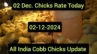 02 Dec Monday Chicks Rate Today [upl. by Akapol]