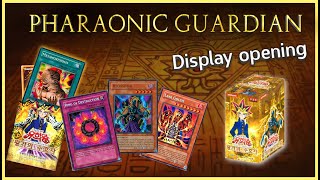 YuGiOh Pharaonic Guardian Display Opening KoreanKoreanisch Deutsch [upl. by Mathre241]