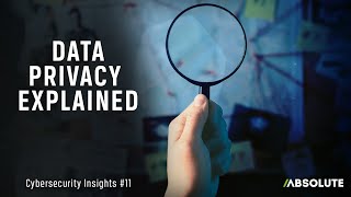 Data Privacy Explained  Cybersecurity Insights 11 [upl. by Kcinomod]