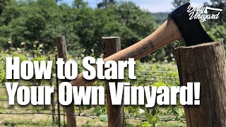 How To Start Your Own Vineyard  Season 1 Episode 1  How You Can Start a Vineyard [upl. by Ran845]