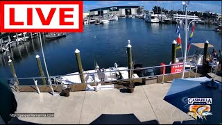 Gasparilla Marina  Live Stream  Englewood  Placida Florida  Gulf Coast  Fuel Dock Cameras [upl. by Evie]