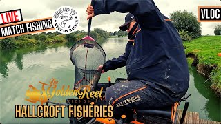 THE GOLDEN REEL CHAMPIONSHIP QUALIFIER HALLCROFT FISHERY  LIVE MATCH FISHING  BAGUPTV AUG 2023 [upl. by Suiramad]