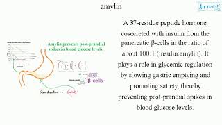 amylin [upl. by Aurel]