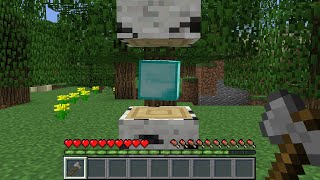 Minecraft but every single drop is RANDOM [upl. by Ahser]